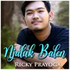 About Njaluk Balen Song