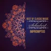 Vier Impromptus in G-Flat Major, D. 899: III. Andante