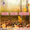 About Tinka Tinka Zindagi Song