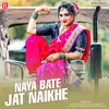 About Naya Bate Jat Naikhe Song