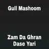 Zam Da Ghran Dase Yari
