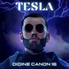 About Tesla Song