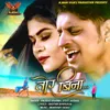 About Tor Bina Chhattisgarhi Song Song