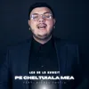 About Pe cheltuiala mea Song
