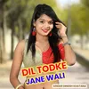 Dil Todke Jane Wali