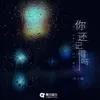 About 你还记得吗 Song