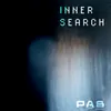 About Inner Search Song