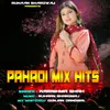 About Pahadi Mix Hits Song