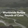 About Worldwide Nature Sounds of Calm, Pt. 5 Song