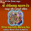 About Shree Gopinathji Maharaj Dev Gadhpur Mandir Dham No Mahima Song