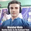 Yari Me Bal Cha Sara Nawa