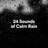 Sleep with Rain Sounds, Pt. 5