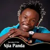 About Njia Panda Song