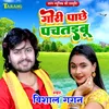 About Gori Pachhe Pachtaibu Song