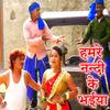 About Hamre Nanadi Ke Bhaiya Song