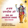 About Om Jai Jagdish Hare Male Version Song