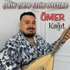 About Çıkın Çıkın Gelin Dostlar Song