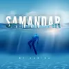 About Samandar Song