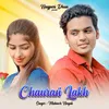 About Chaurasi Lakh Song