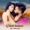 About Chari Kadam Song