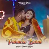 About Pahuche Barat Song