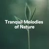 Tranquil Melodies of Nature, Pt. 1