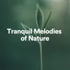 Tranquil Melodies of Nature, Pt. 2