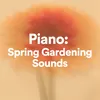 About Baby Plants Song