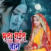 About Bhula Gayilu Jaan Song