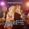 About Dani koji sjaje Song