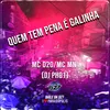 About QUEM TEM PENA É GALINHA Song