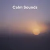 Calm Sounds, Pt. 1