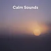 Calm Sounds, Pt. 3