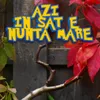 Azi In Sat E Nunta Mare