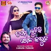 About Tame Luchiki Khela Karuchha Song