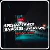 About SPESIAL FVNKY BANGERS - Live my life Song