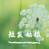 About 短发姑娘 Song