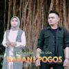 About Harani Pogos Song