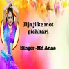 About Jija Ji Ke Mot Pichkari Song