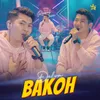 About BAKOH Song