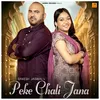 About Peke Chali Jana Song