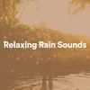 About Deluge Rain Song