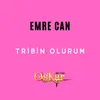 About Tribin Olurum Song