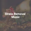 Stress Removal Music, Pt. 4