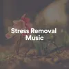 Stress Removal Music, Pt. 6