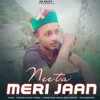 About Neeta Meri Jaan Song