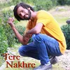 Tere Nakhre