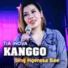 About Kanggo Sing Ngerasa Bae Song