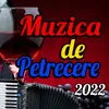 Colaj Muzica De Petrecere Nou 2022 Cel Mai Bun Colaj - Muzica De Petrecere