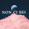 Non ci sei